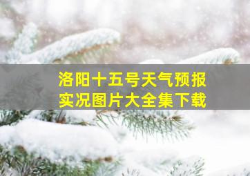 洛阳十五号天气预报实况图片大全集下载