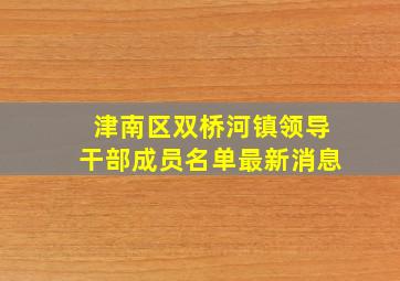 津南区双桥河镇领导干部成员名单最新消息