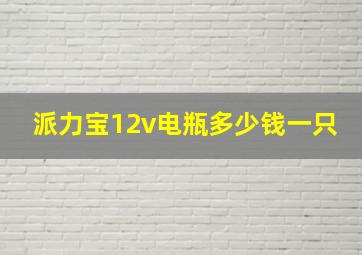 派力宝12v电瓶多少钱一只