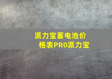 派力宝蓄电池价格表PR0派力宝