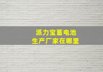 派力宝蓄电池生产厂家在哪里