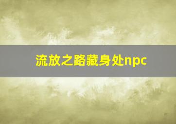 流放之路藏身处npc