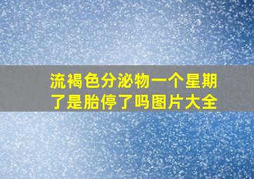 流褐色分泌物一个星期了是胎停了吗图片大全