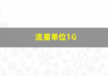 流量单位1G