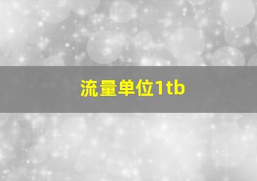 流量单位1tb