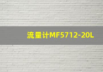 流量计MF5712-20L