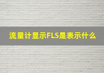 流量计显示FLS是表示什么