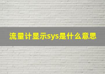 流量计显示sys是什么意思