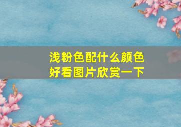 浅粉色配什么颜色好看图片欣赏一下