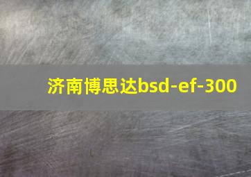 济南博思达bsd-ef-300