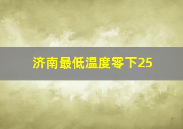 济南最低温度零下25