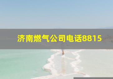 济南燃气公司电话8815