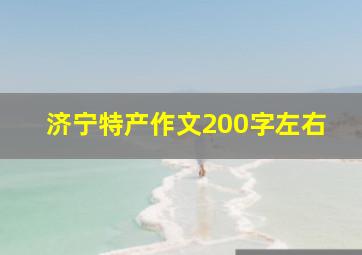 济宁特产作文200字左右