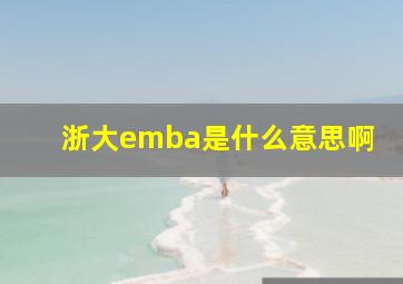 浙大emba是什么意思啊