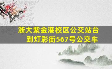 浙大紫金港校区公交站台到灯彩街567号公交车