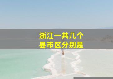 浙江一共几个县市区分别是