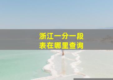 浙江一分一段表在哪里查询