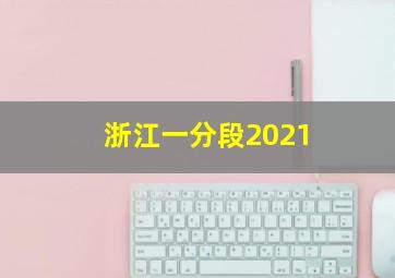 浙江一分段2021