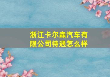 浙江卡尔森汽车有限公司待遇怎么样