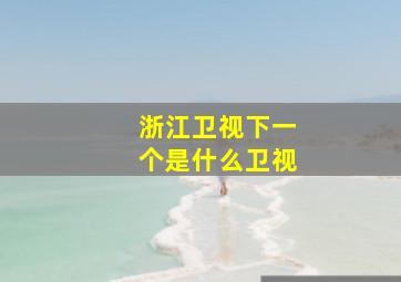 浙江卫视下一个是什么卫视