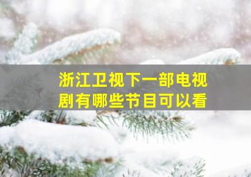 浙江卫视下一部电视剧有哪些节目可以看