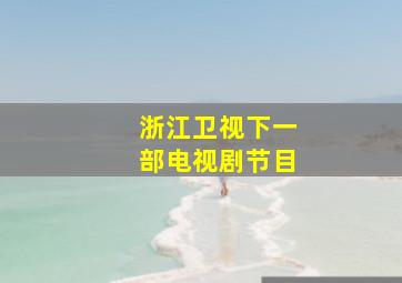 浙江卫视下一部电视剧节目