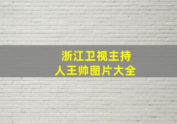 浙江卫视主持人王帅图片大全