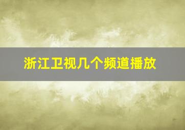 浙江卫视几个频道播放