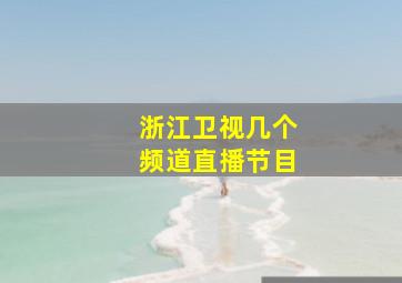 浙江卫视几个频道直播节目