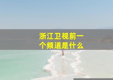 浙江卫视前一个频道是什么