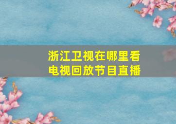 浙江卫视在哪里看电视回放节目直播