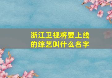 浙江卫视将要上线的综艺叫什么名字