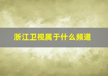 浙江卫视属于什么频道