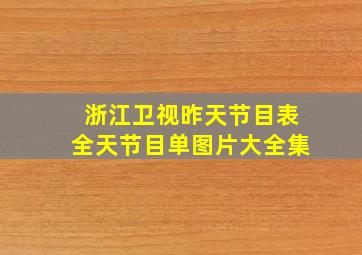 浙江卫视昨天节目表全天节目单图片大全集