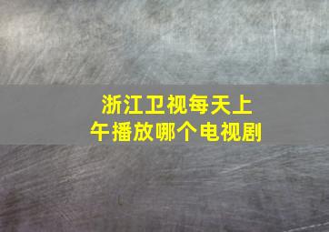 浙江卫视每天上午播放哪个电视剧