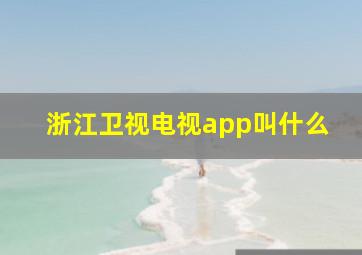 浙江卫视电视app叫什么