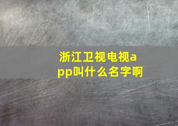 浙江卫视电视app叫什么名字啊