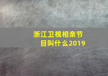 浙江卫视相亲节目叫什么2019