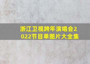 浙江卫视跨年演唱会2022节目单图片大全集