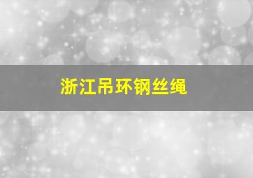 浙江吊环钢丝绳