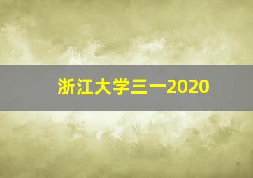 浙江大学三一2020