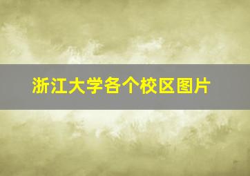 浙江大学各个校区图片