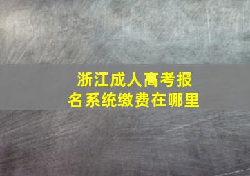 浙江成人高考报名系统缴费在哪里