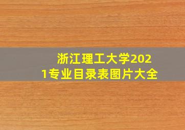 浙江理工大学2021专业目录表图片大全