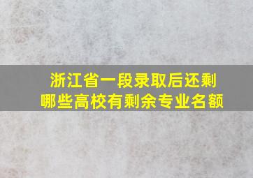 浙江省一段录取后还剩哪些高校有剩余专业名额