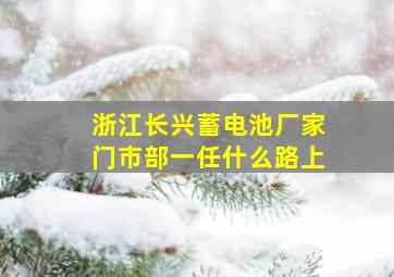 浙江长兴蓄电池厂家门市部一任什么路上