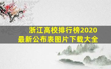 浙江高校排行榜2020最新公布表图片下载大全