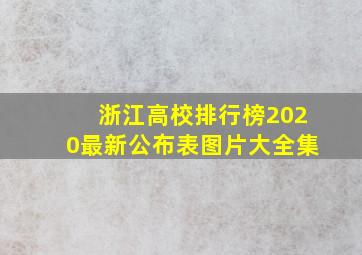 浙江高校排行榜2020最新公布表图片大全集