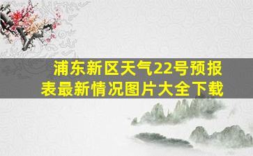 浦东新区天气22号预报表最新情况图片大全下载