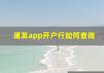 浦发app开户行如何查询